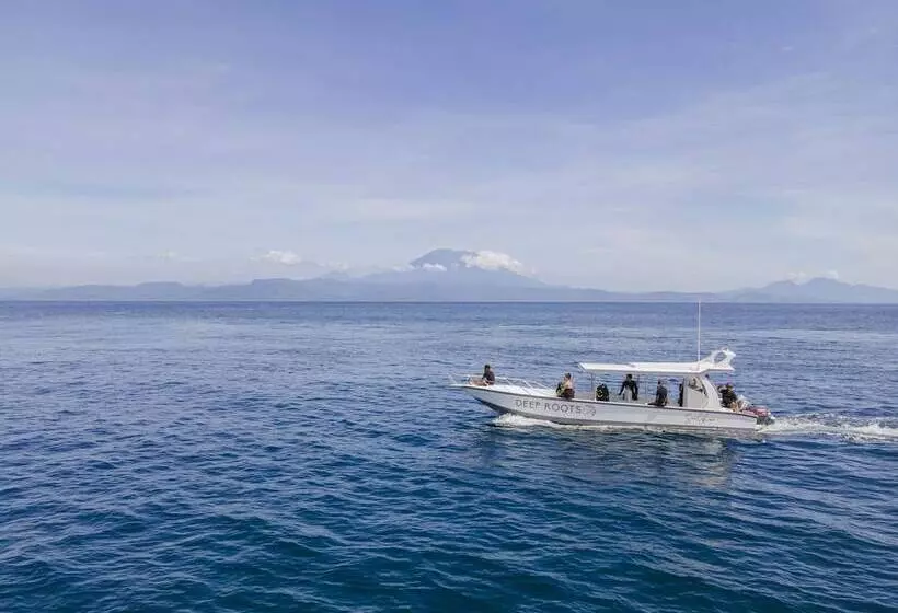 Deep Roots Dive & Yoga Resort