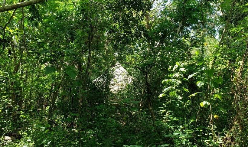 فندق Belilula Xeiba