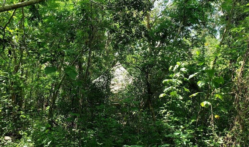 فندق Belilula Xeiba