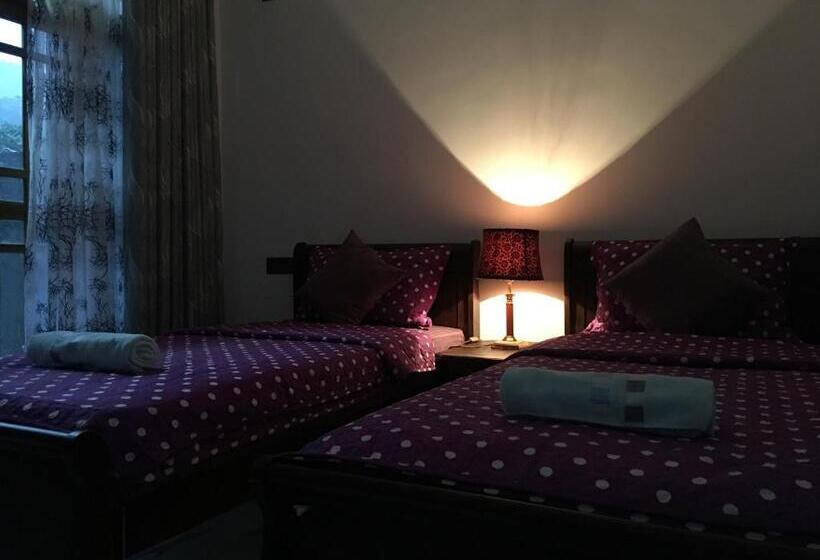 Hotelli The Cubes Ella