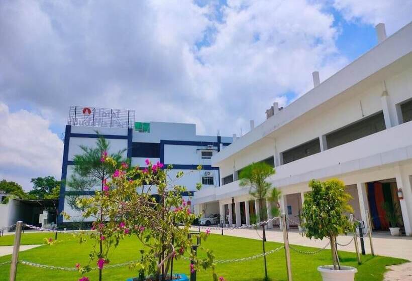 Отель Buddha Park