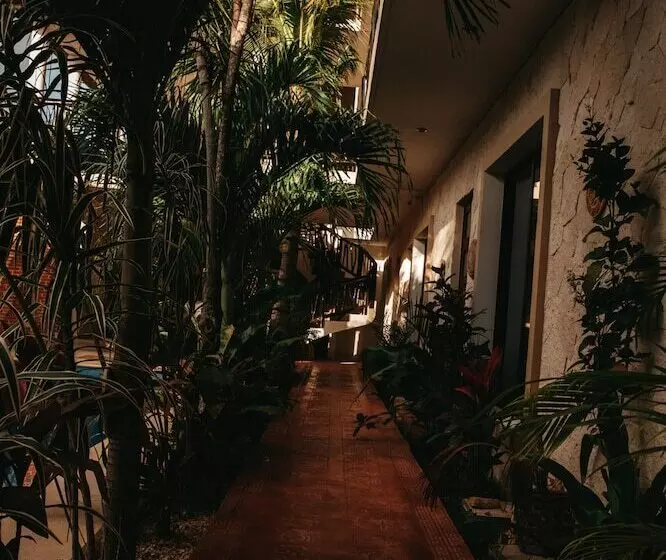 Lechuga De Mar Tulum With Pool And Beach Club Access