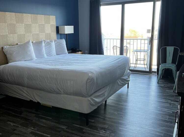 Trade Winds On The Bay