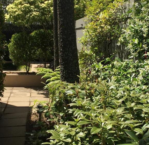 40 Thornycroft Street Bed And Breakfast