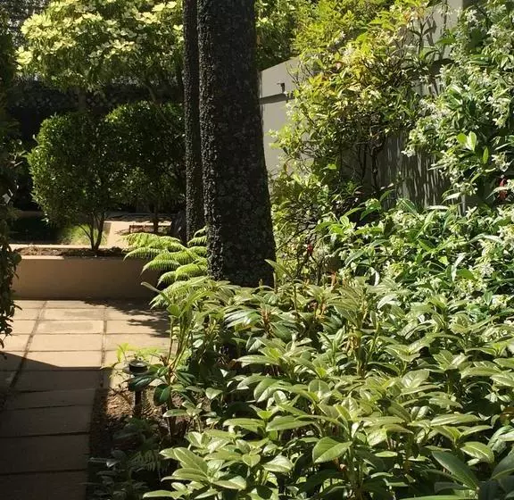 40 Thornycroft Street Bed And Breakfast