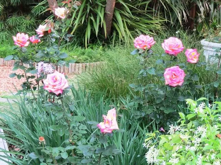 تختخواب و صبحانه Maison Chablis Guest House