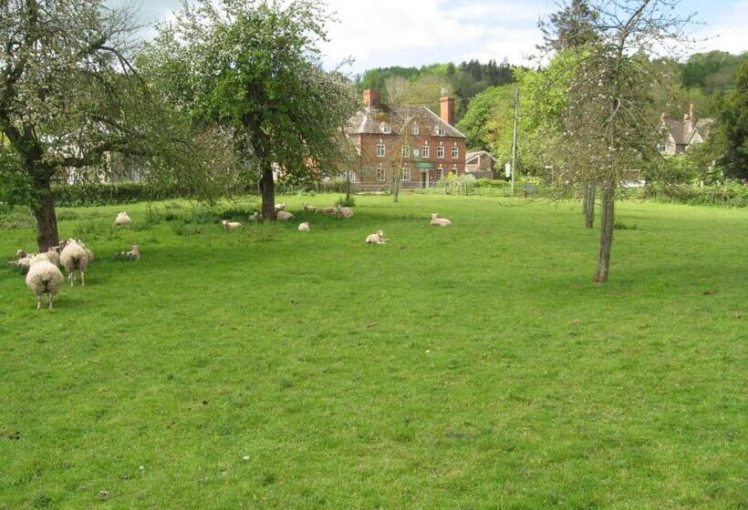 פונדק The Red Lion