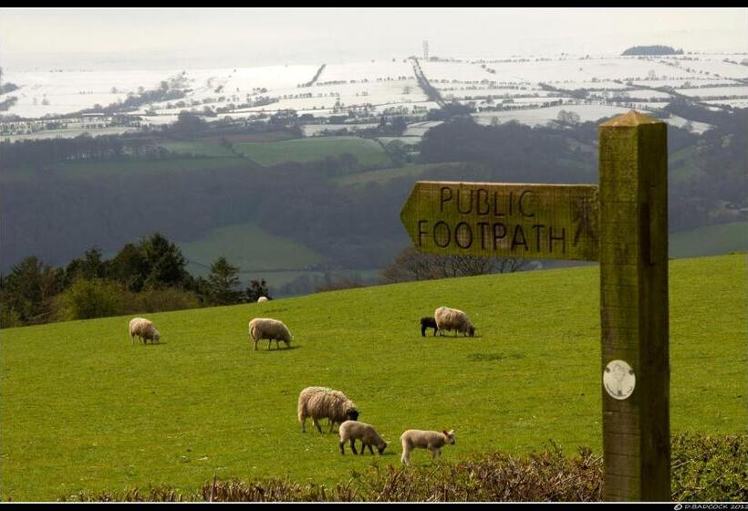 פונדק The Red Lion