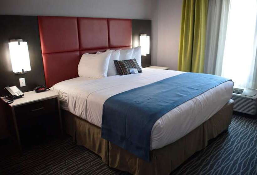 בית מלון כפרי Del Mar Airport Inn & Suites