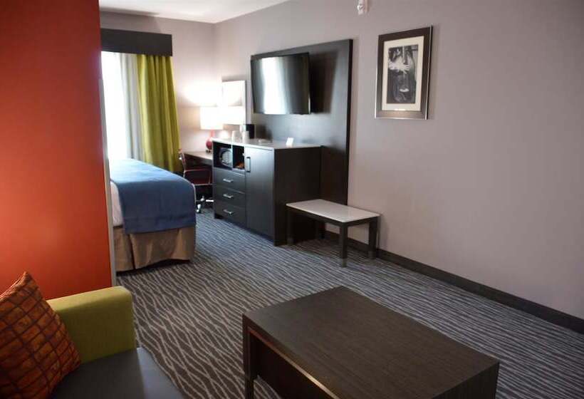 בית מלון כפרי Del Mar Airport Inn & Suites