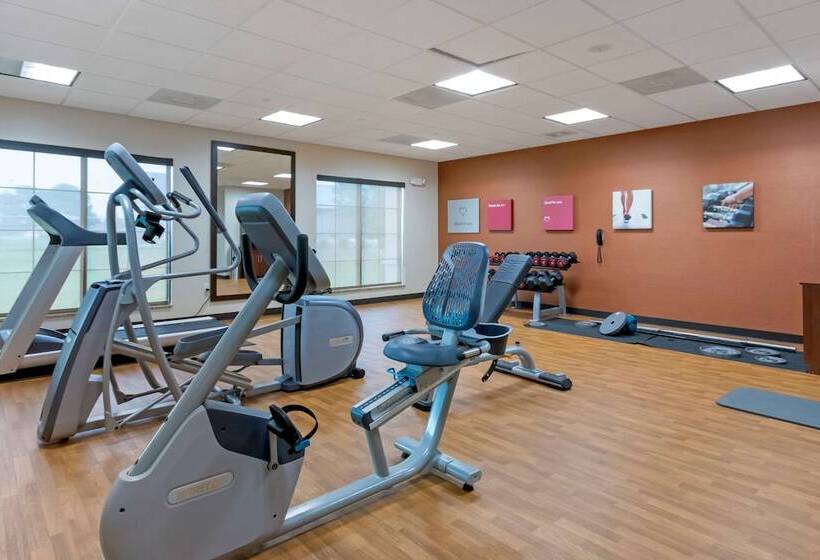 בית מלון כפרי Comfort Suites Billings