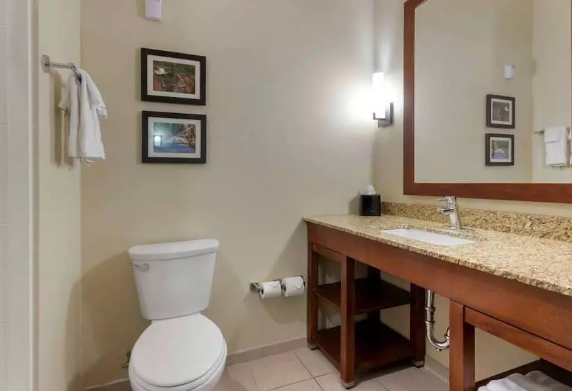 ホテル Comfort Suites Billings