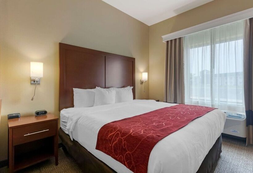 בית מלון כפרי Comfort Suites Billings