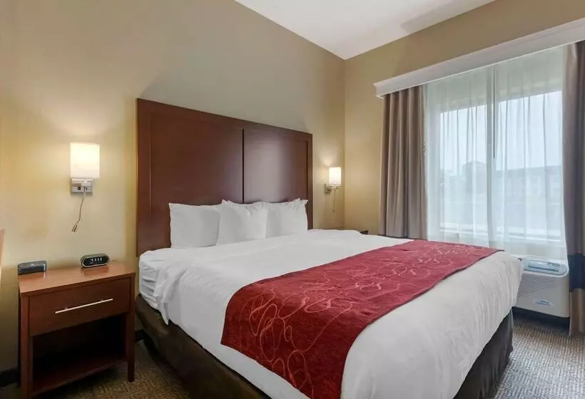 ホテル Comfort Suites Billings