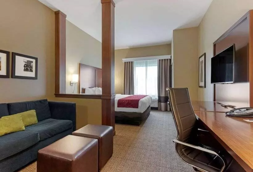 ホテル Comfort Suites Billings