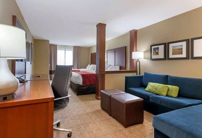 ホテル Comfort Suites Billings
