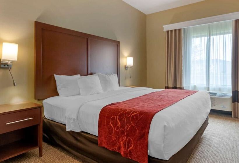 בית מלון כפרי Comfort Suites Billings