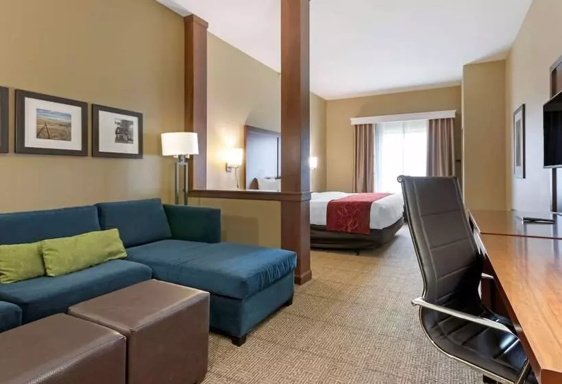 ホテル Comfort Suites Billings