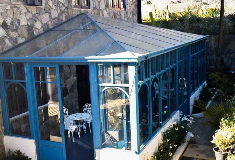 ホテル Daffodil S