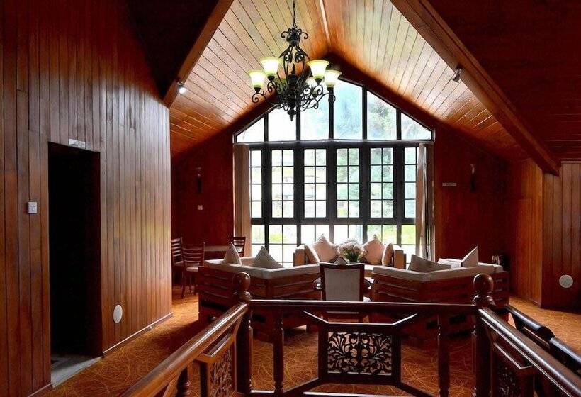 ホテル Daffodil S