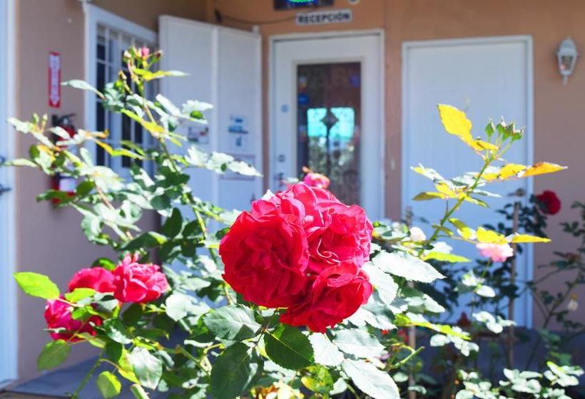 Hotel Hostal Victoria Volcan Chiriqui