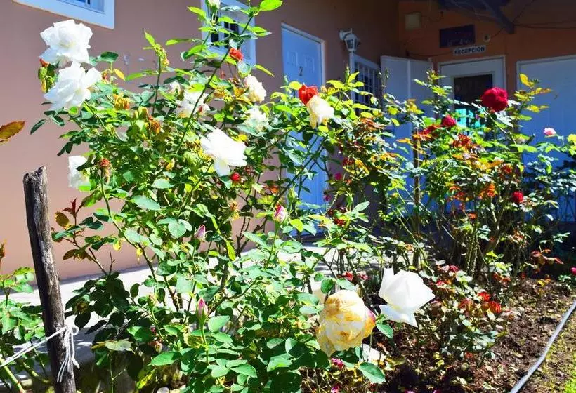 ホテル Hostal Victoria Volcan Chiriqui