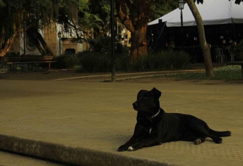 Otel Pousada Mar & Vida E Doçaria