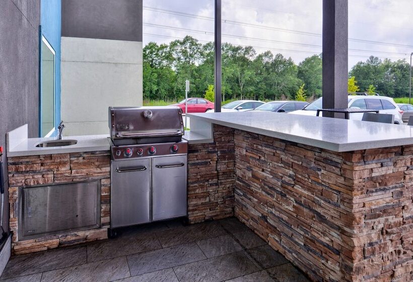 ホテル Towneplace Suites By Marriott Laplace