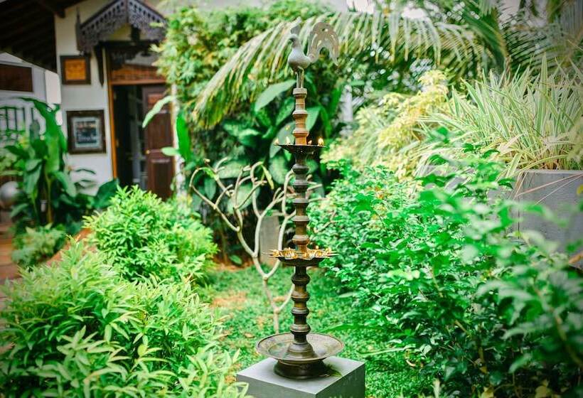 בית מלון כפרי Waterland