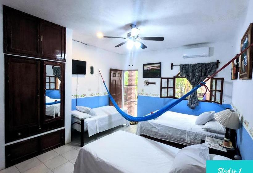 La Casa De ángel Valladolid