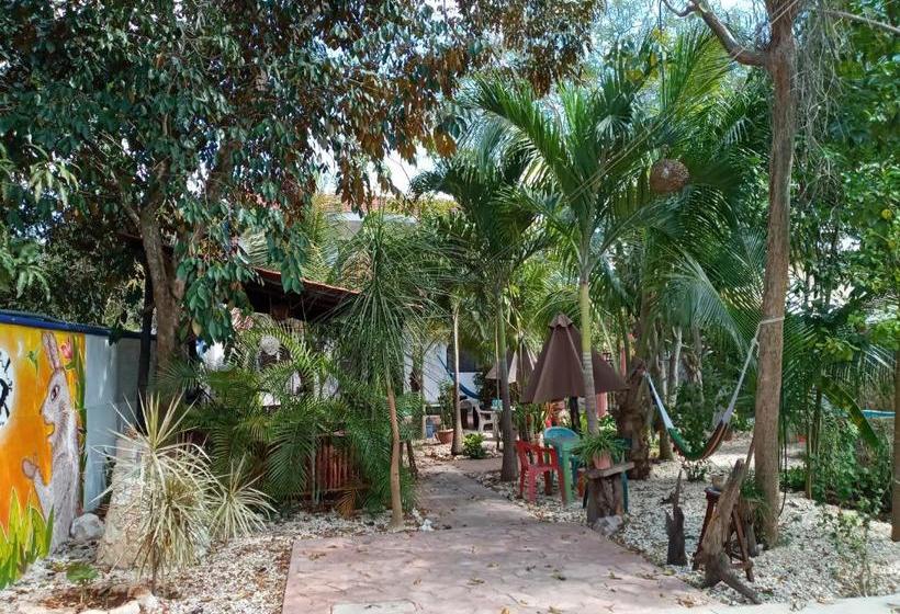 La Casa De ángel Valladolid