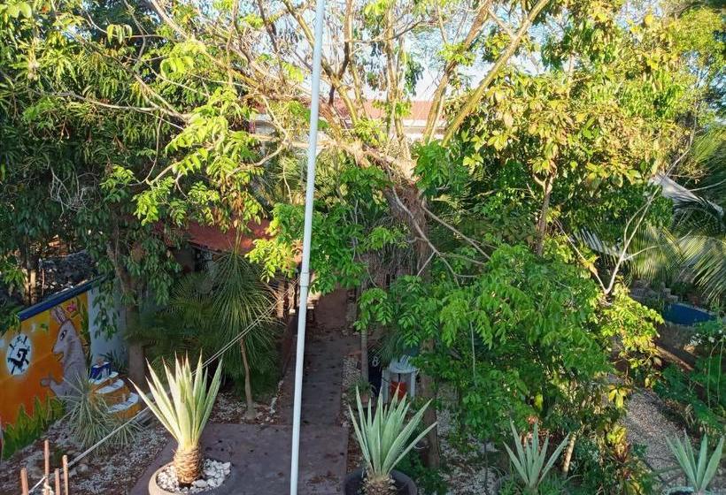 La Casa De ángel Valladolid