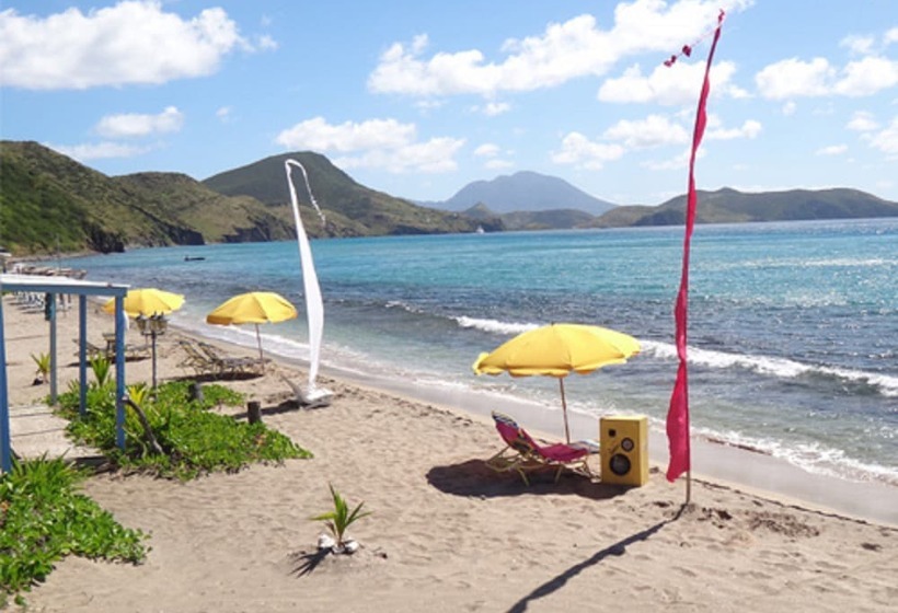 پانسیون Culture House