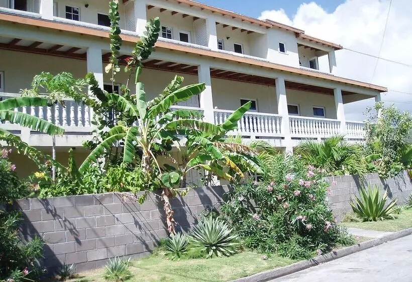 پانسیون Culture House