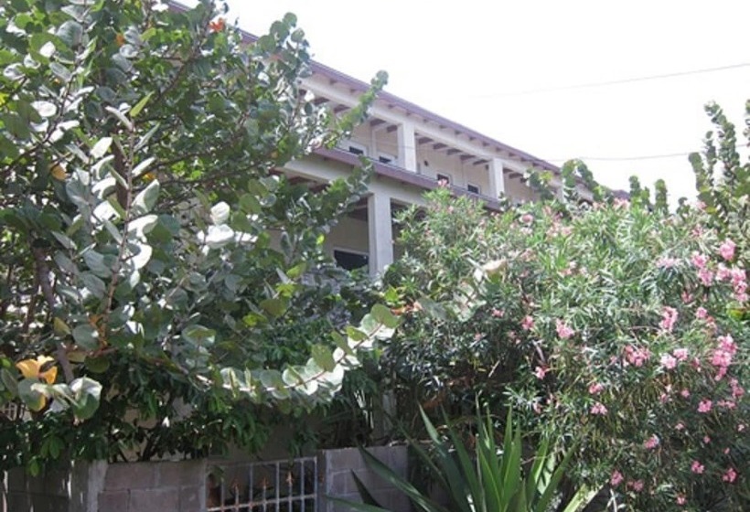 پانسیون Culture House