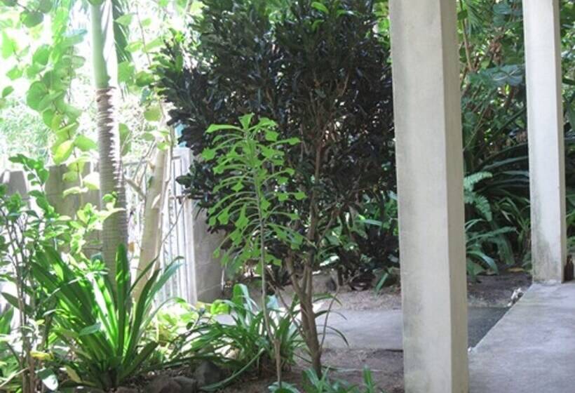 پانسیون Culture House