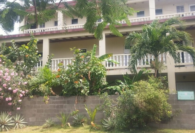 پانسیون Culture House