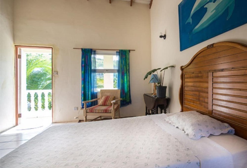 پانسیون Culture House