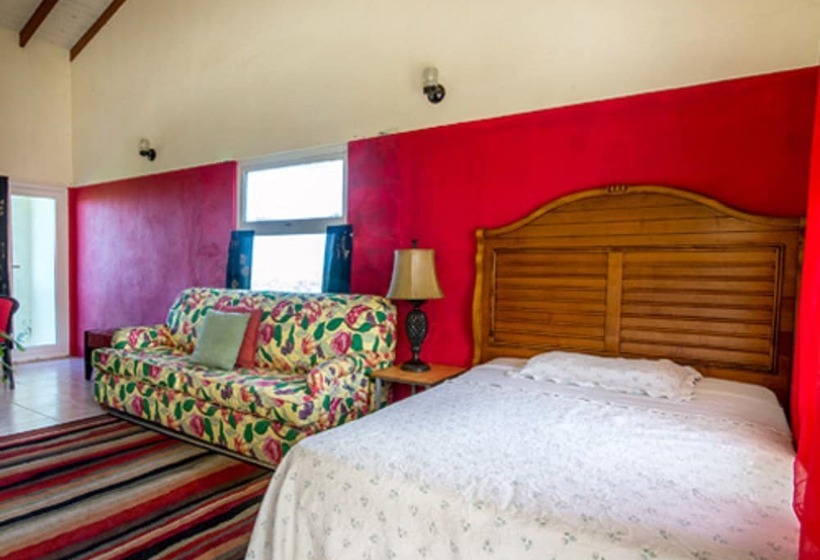 پانسیون Culture House