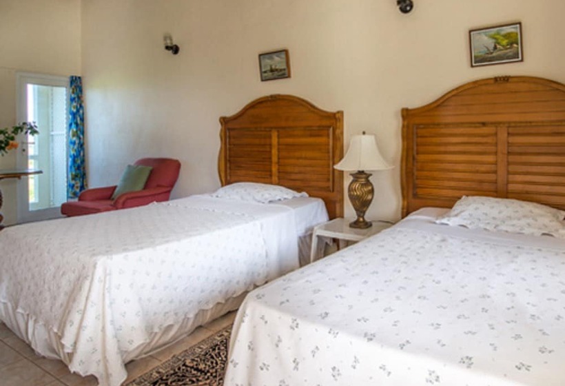 پانسیون Culture House