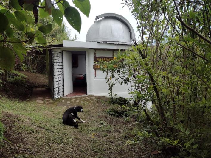 הוסטל Hostal Sueño Paraiso