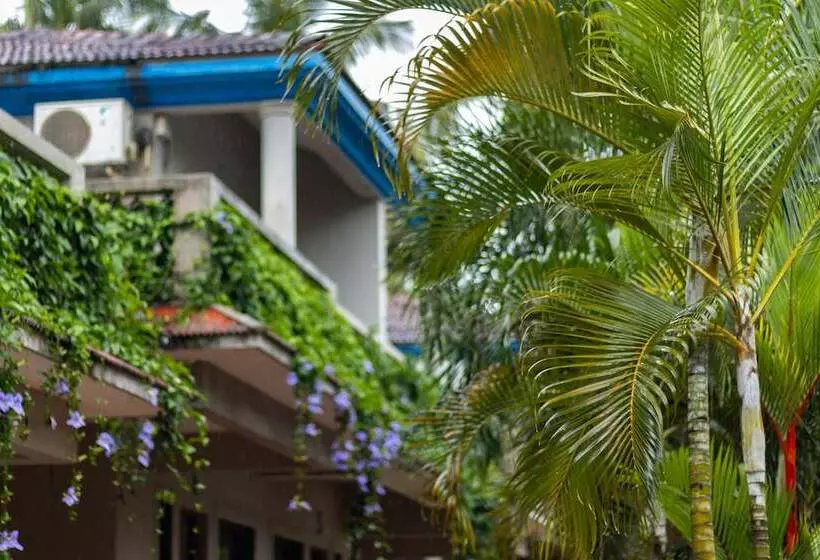 ホテル Nexstay Aromiaa Villas   Baga