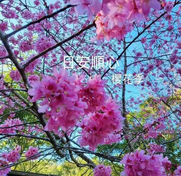 هتل Shi Bi
