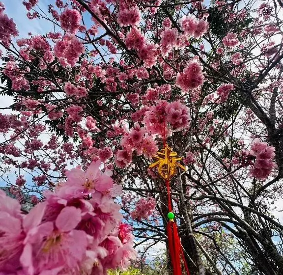 هتل Shi Bi