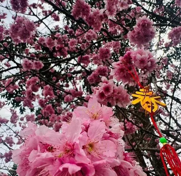 هتل Shi Bi