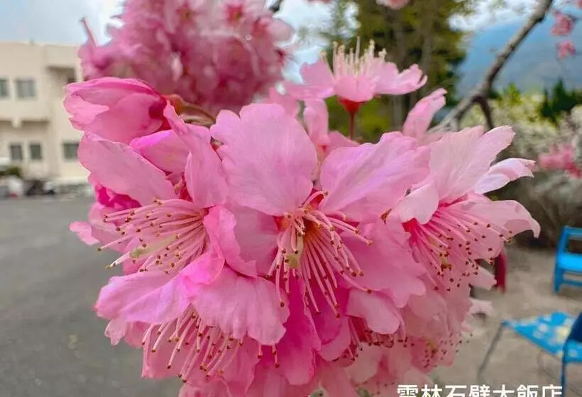 هتل Shi Bi