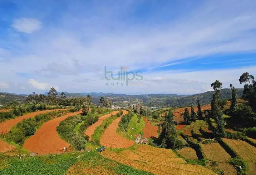 Tulips Village Resorts