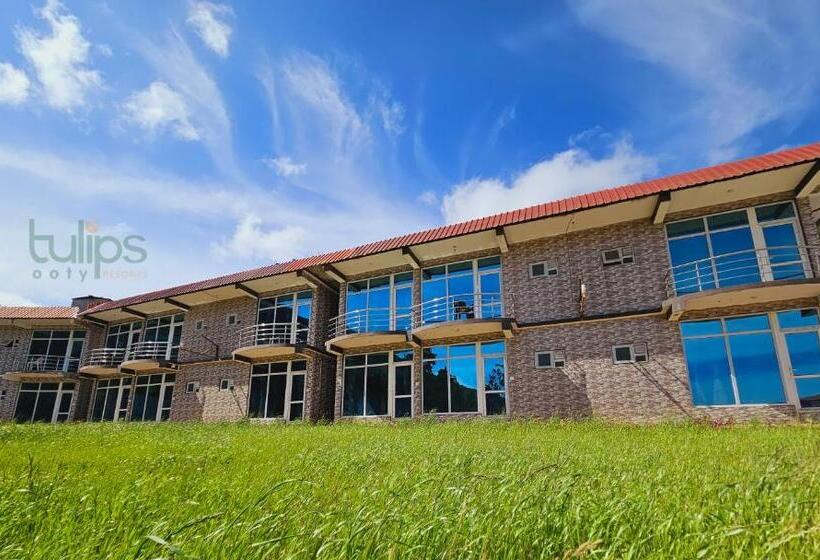 Tulips Village Resorts