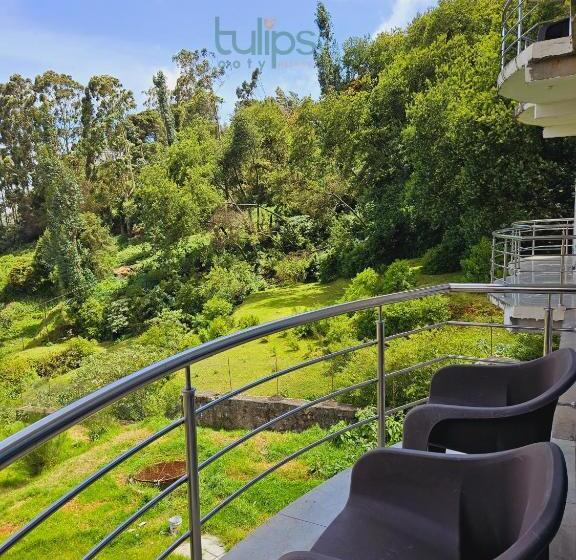 Tulips Village Resorts