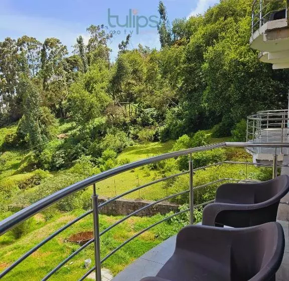 Tulips Village Resorts